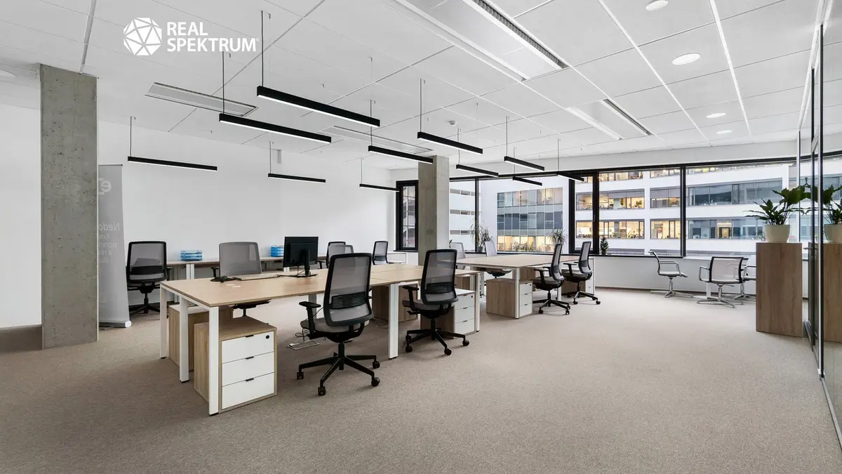 Pronájem komerčního prostoru 520 m², Nové sady · Staré Brno · Brno