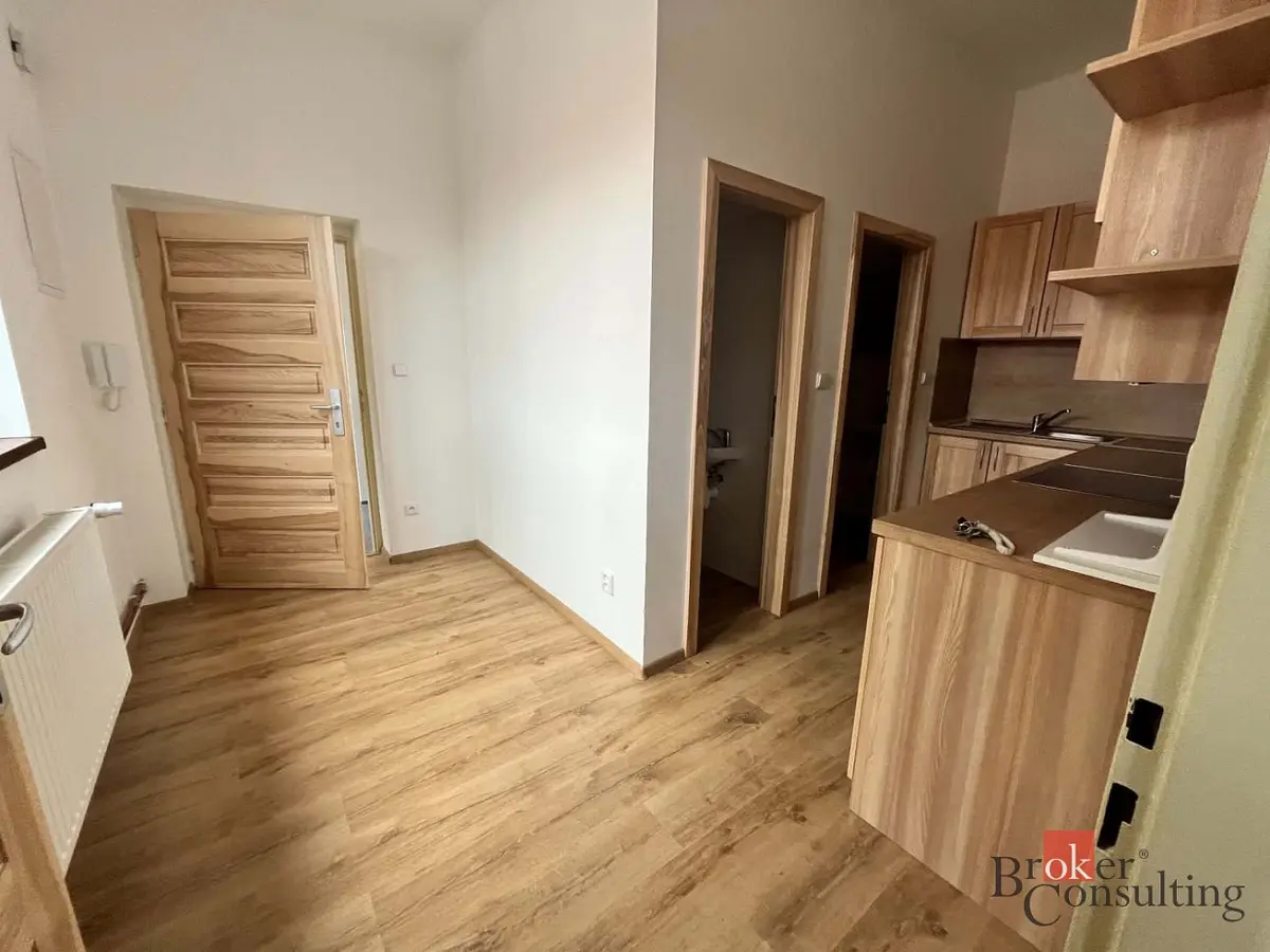 Pronájem bytu 2+kk 45 m², Horní Benešov