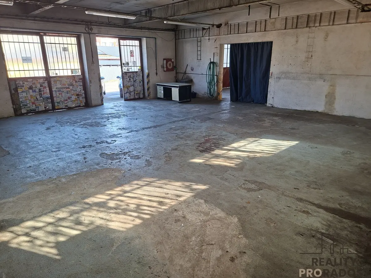 Pronájem komerčního prostoru 230 m², Slaný