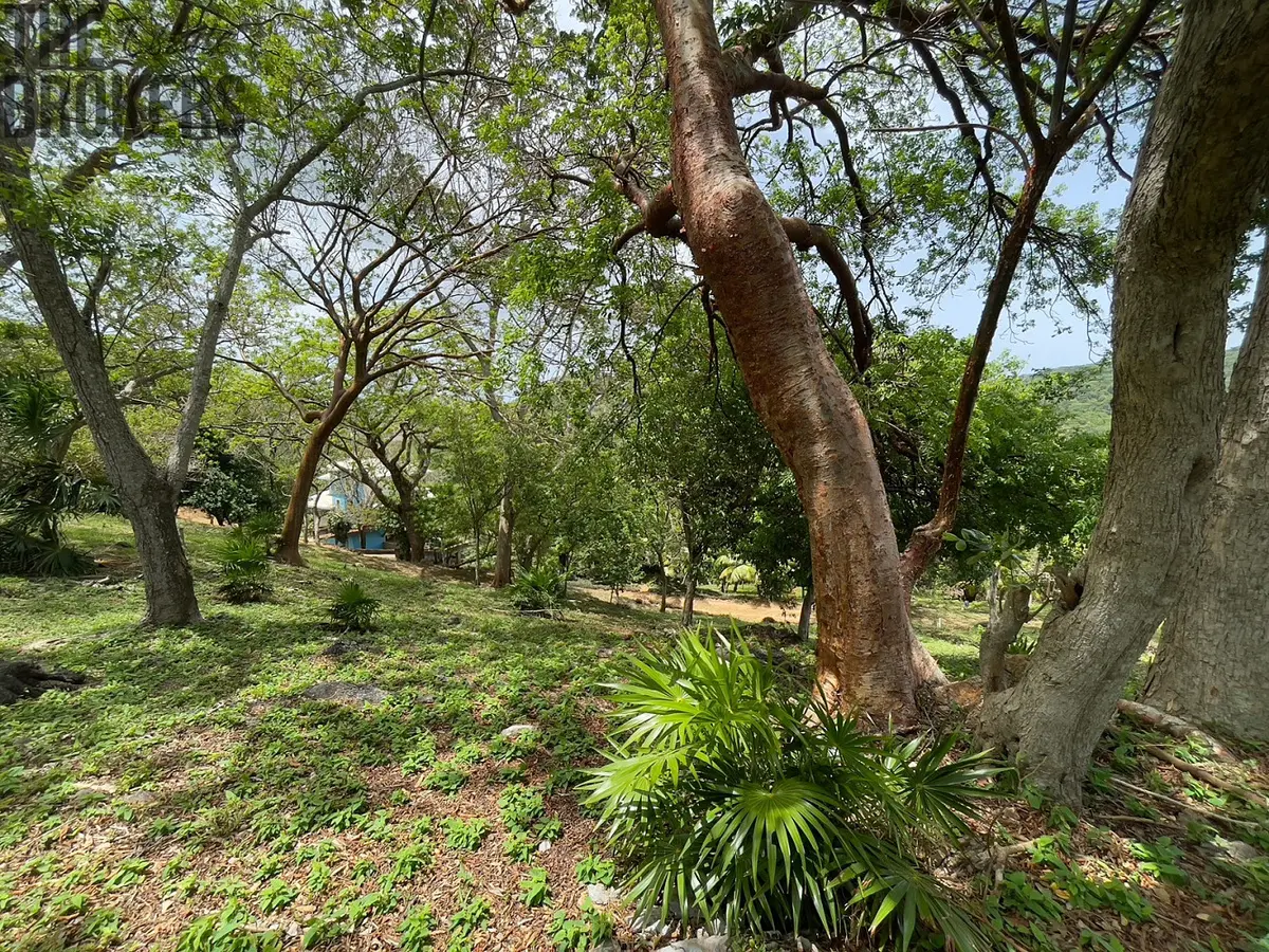 Prodej pozemku 1821 m², Coxen Hole · Roatán Honduras