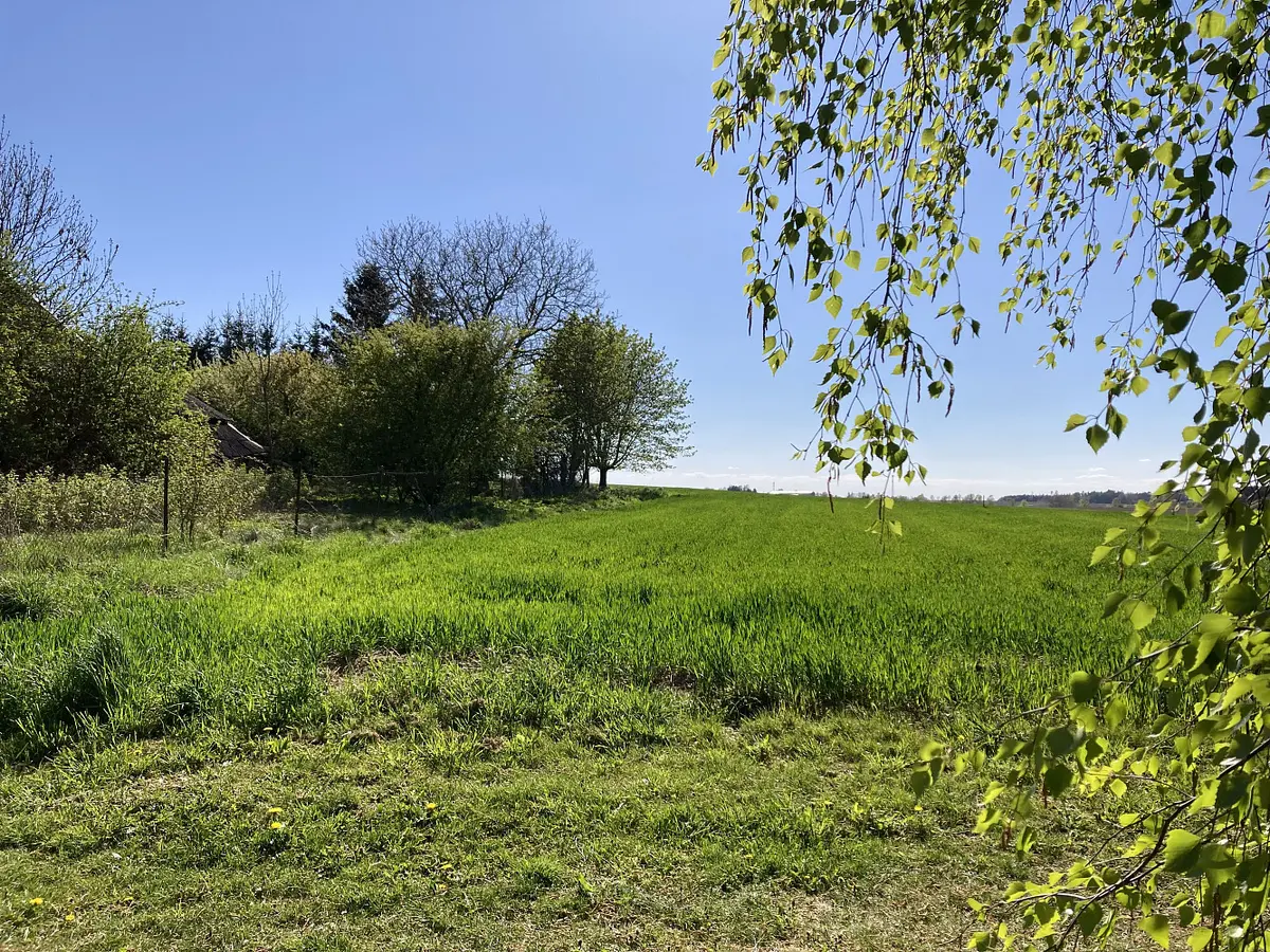 Prodej pozemku 153 m², Rybníček · okres Havlíčkův Brod