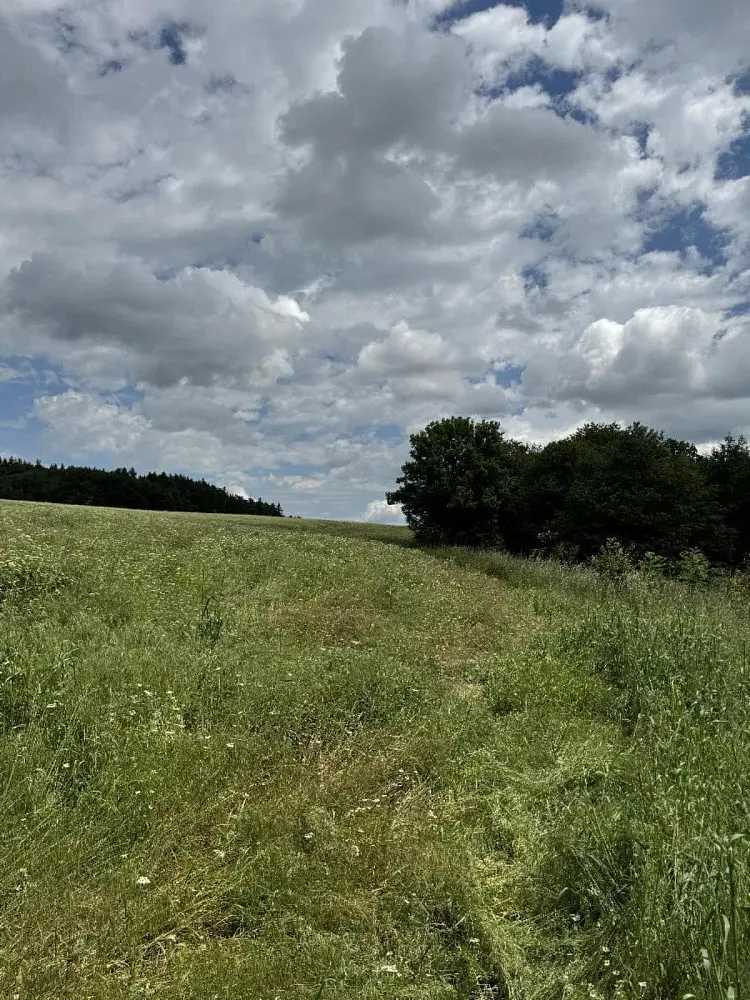 Prodej pozemku 916 m², Lipová - Benešov nad Ploučnicí