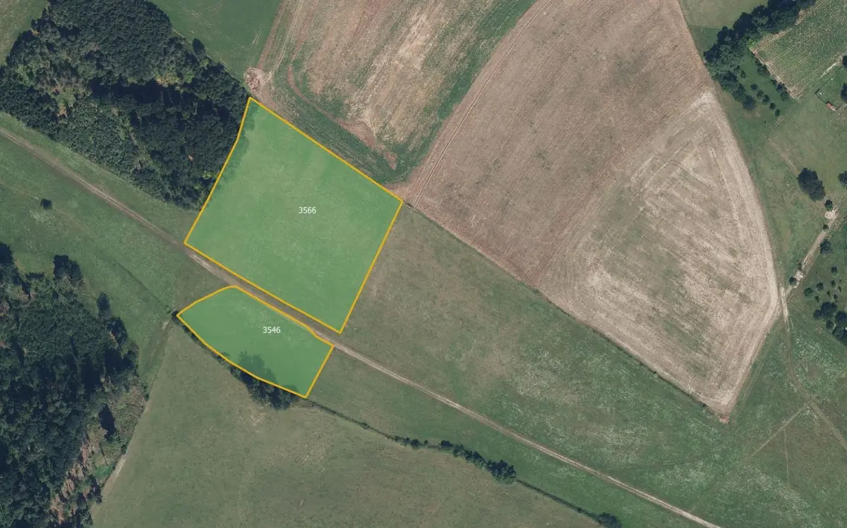 Prodej pozemku 16981 m², Dubenec · okres Trutnov