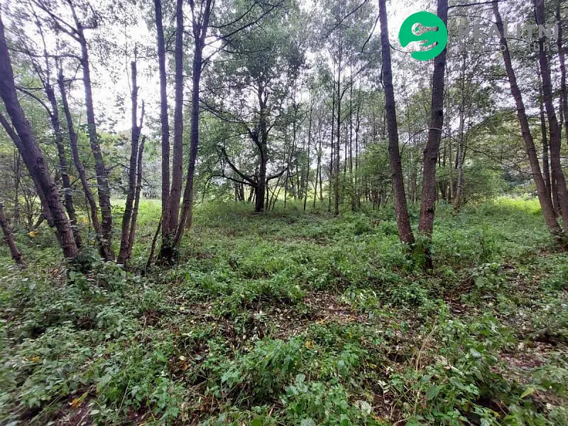 Prodej pozemku 626 m², Červená Voda · okres Ústí nad Orlicí