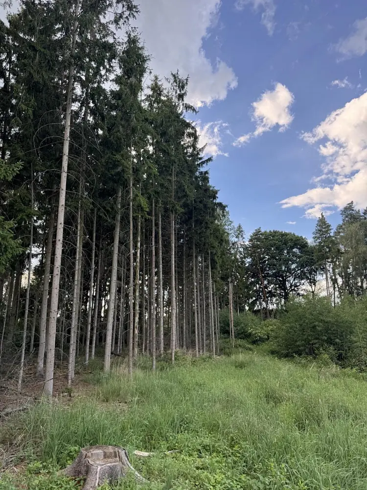 Prodej pozemku 7955 m², 9. května · Jiříkov