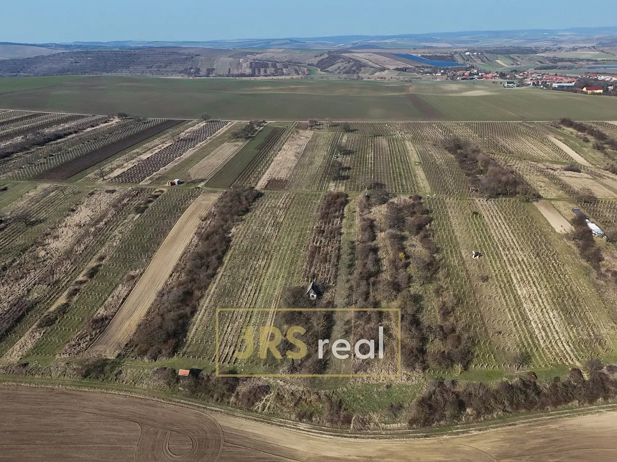 Prodej pozemku 65 m², Brumovice · okres Břeclav