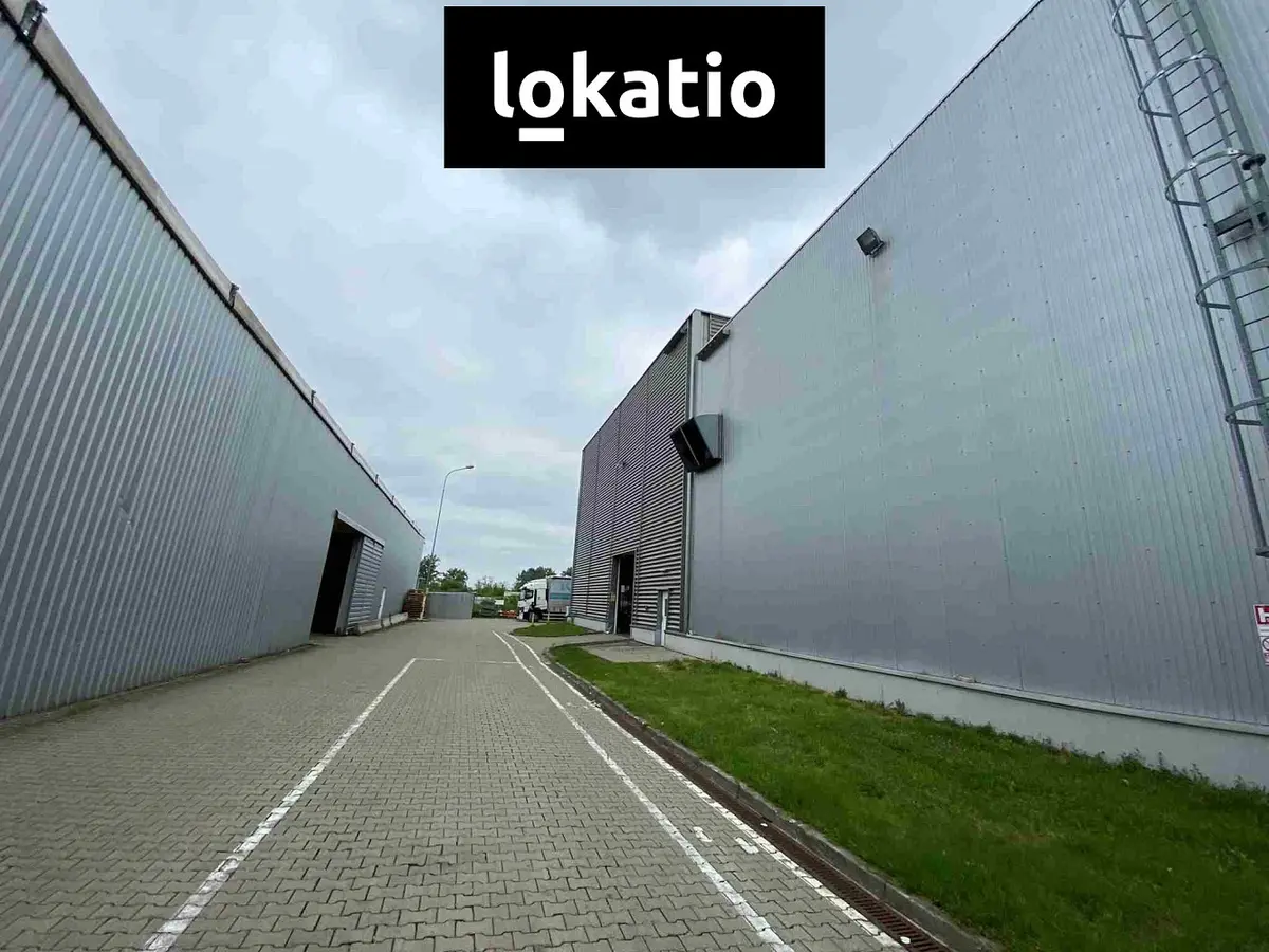 Pronájem komerčního prostoru 7500 m², Hodonín