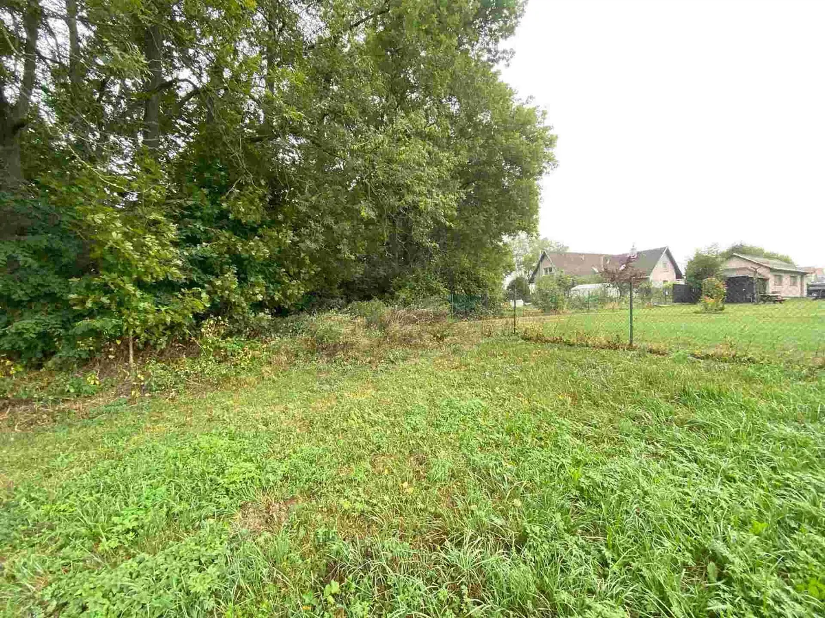 Prodej pozemku 1994 m², Helvíkovice · okres Ústí nad Orlicí