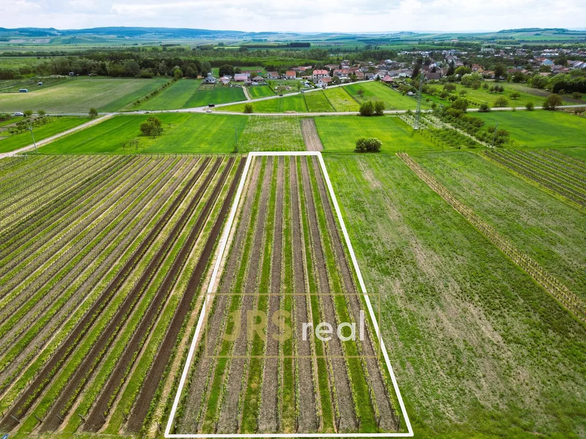 Prodej pozemku 3474 m², Hlavní · Březí u Mikulova · Březí