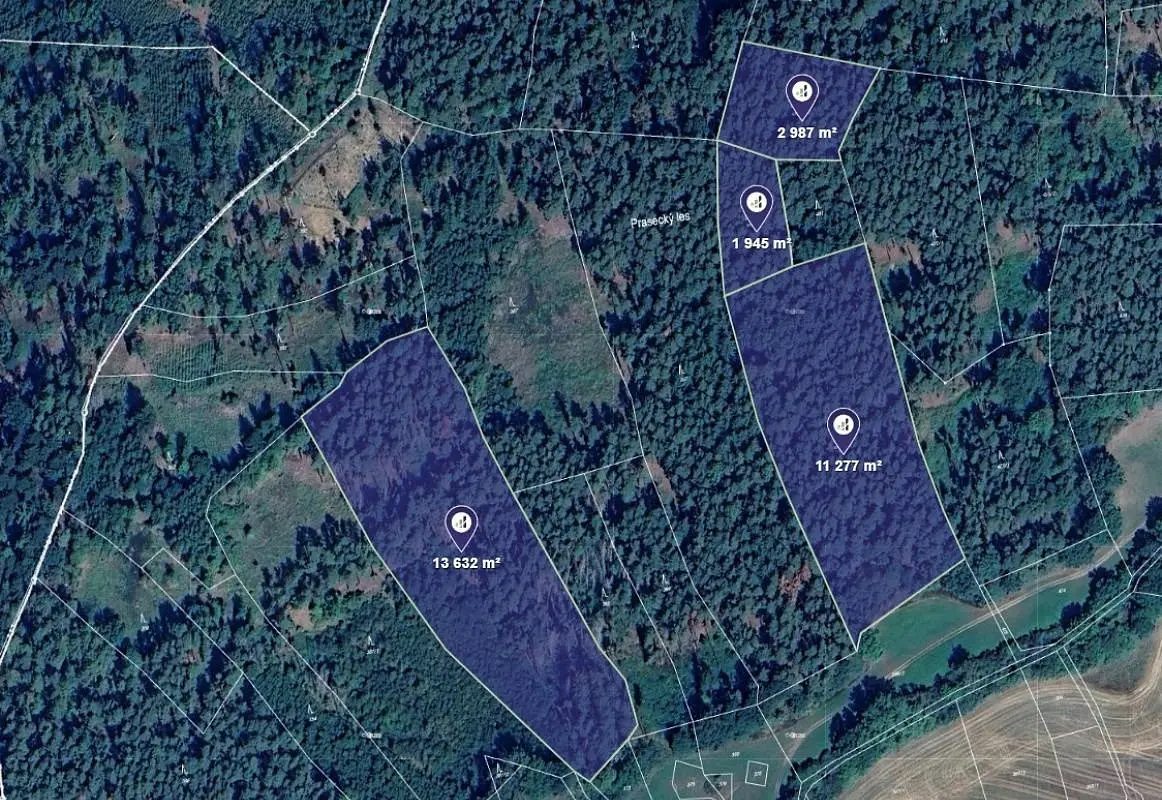 Prodej pozemku 10026 m², Maňovice u Pačejova · Maňovice