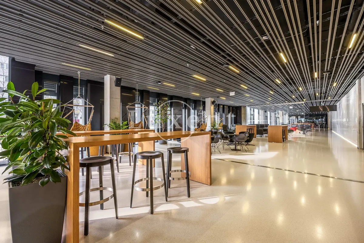 Pronájem komerčního prostoru 1560 m², Vokovice