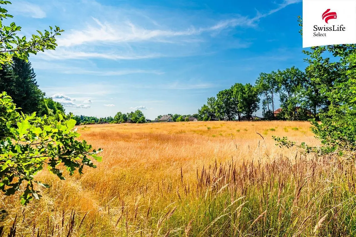 Prodej pozemku 11001 m², Rodvínov · okres Jindřichův Hradec