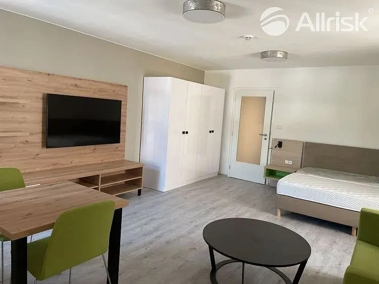 Pronájem bytu 1+kk 49 m², Dolní náměstí · Opava-Město · Opava