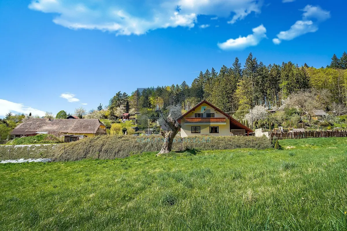 Prodej domu 691 m², Písek - Budějovické Předměstí
