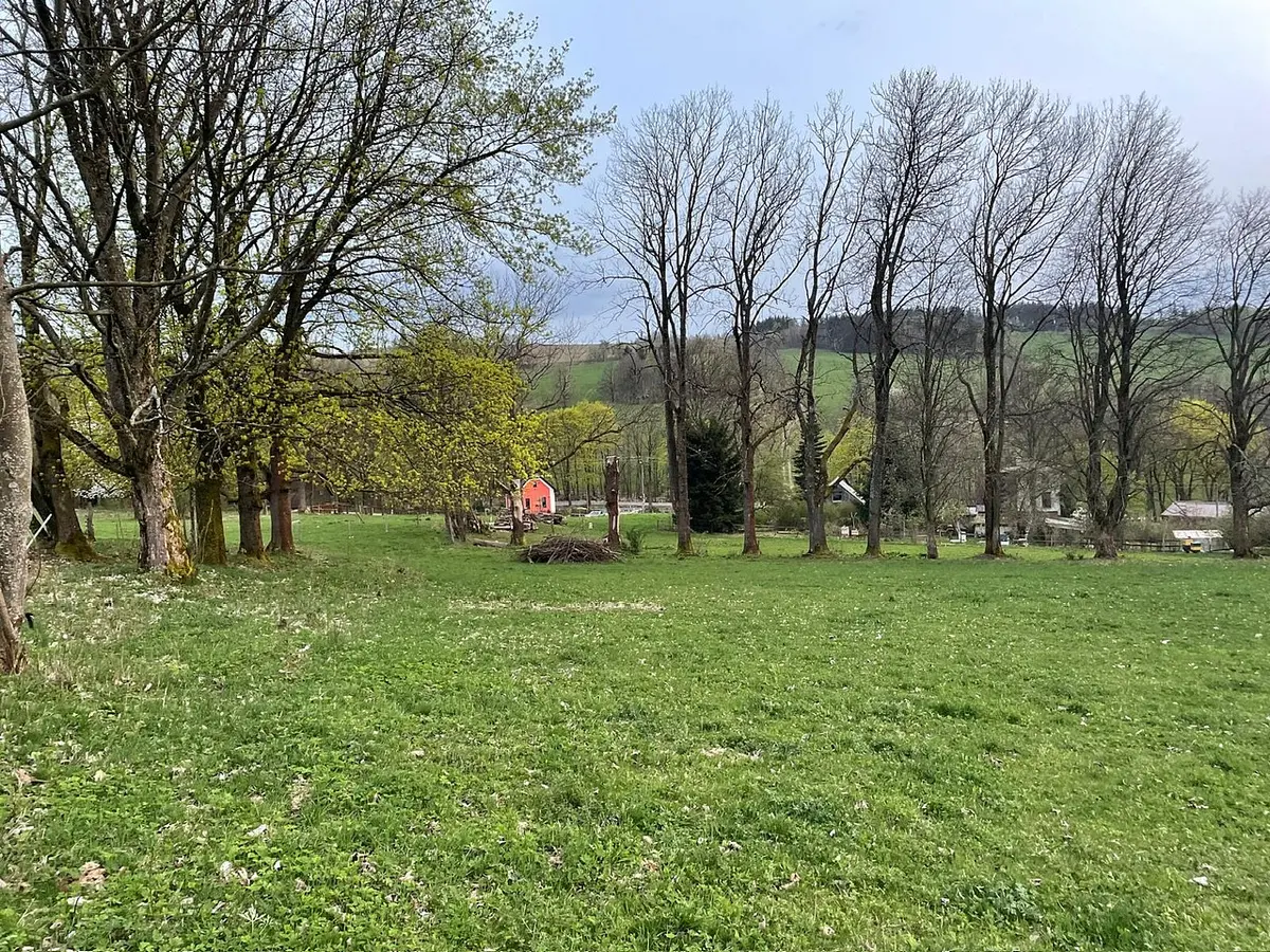 Prodej pozemku 391 m², Pulečný · okres Jablonec nad Nisou