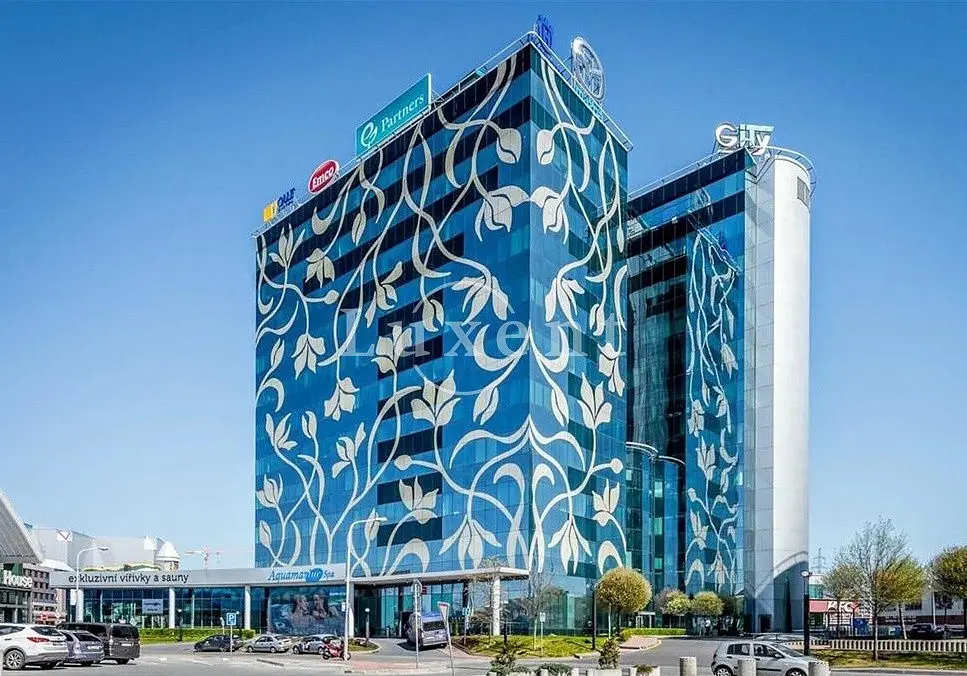 Pronájem komerčního prostoru 500 m², Türkova · Chodov