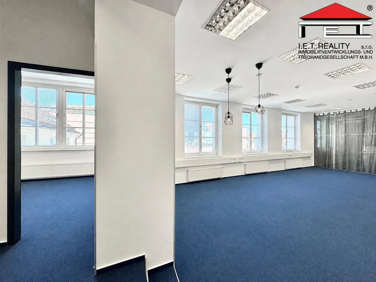 Pronájem komerčního prostoru 149 m², Starobrněnská · Město Brno · Brno