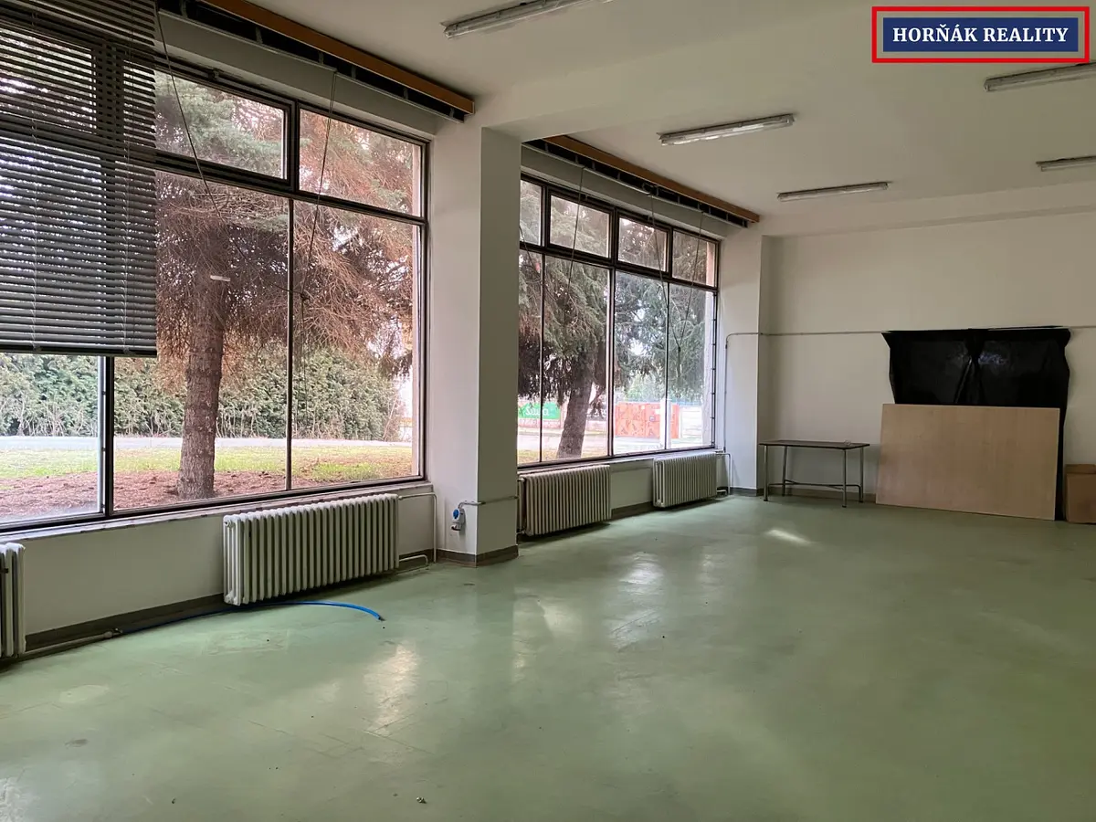 Pronájem komerčního prostoru, Nová · Bučovice