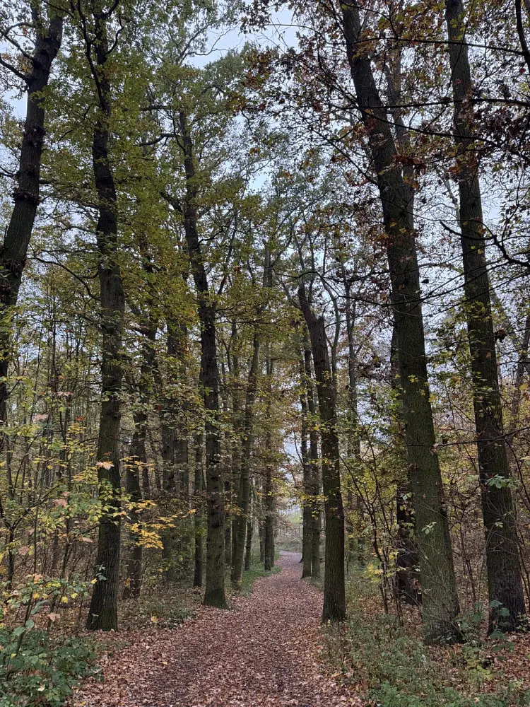 Prodej pozemku 747 m², Průhonice - Nýřany