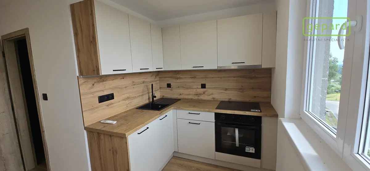 Prodej bytu 1+1 39 m², Světlík