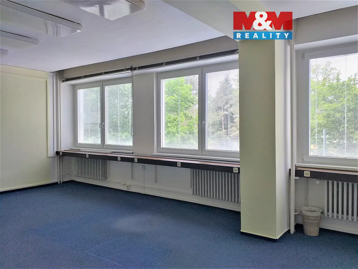 Pronájem komerčního prostoru 30 m², Slavíčkova · Lesná · Brno