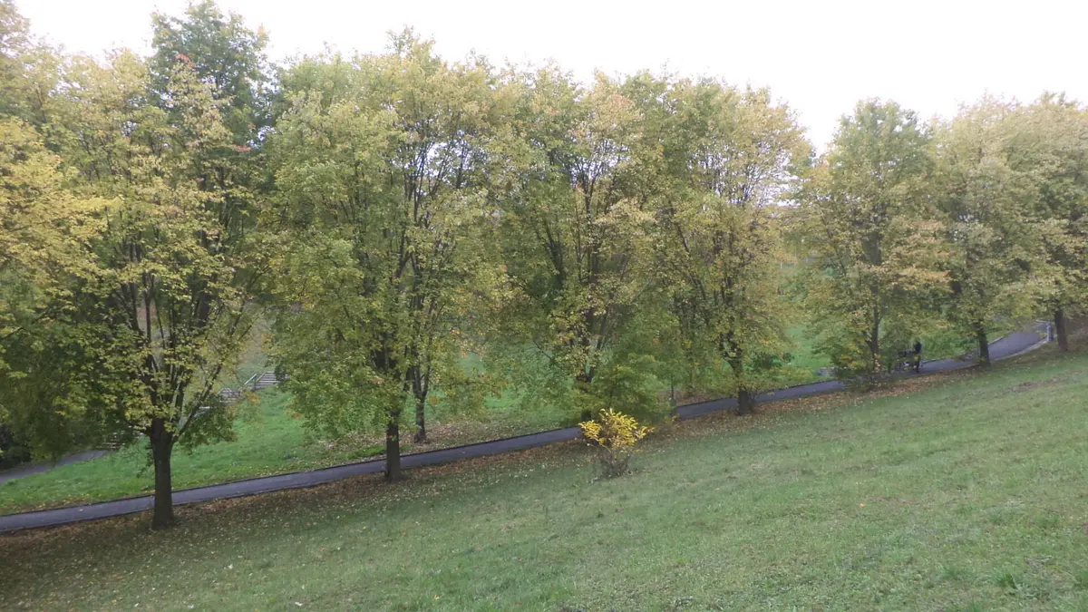 Prodej pozemku 1044 m², Mojžíř · Ústí nad Labem