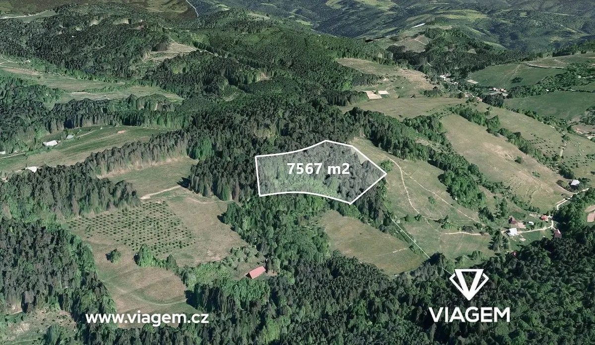 Prodej pozemku 7567 m², Francova Lhota