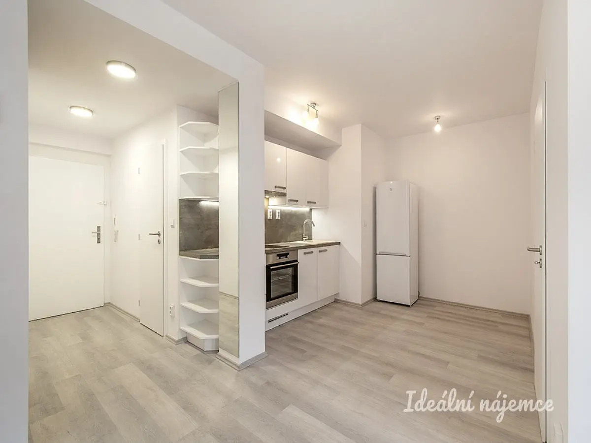 Pronájem bytu 2+kk 45 m², Chelčického · Žižkov