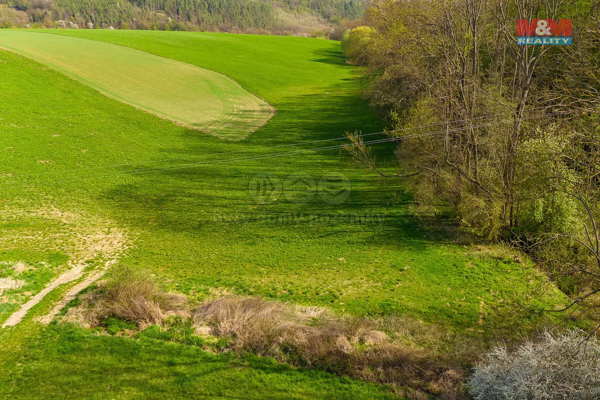 Prodej pozemku 4100 m², Hradečná u Bílé Lhoty · Bílá Lhota