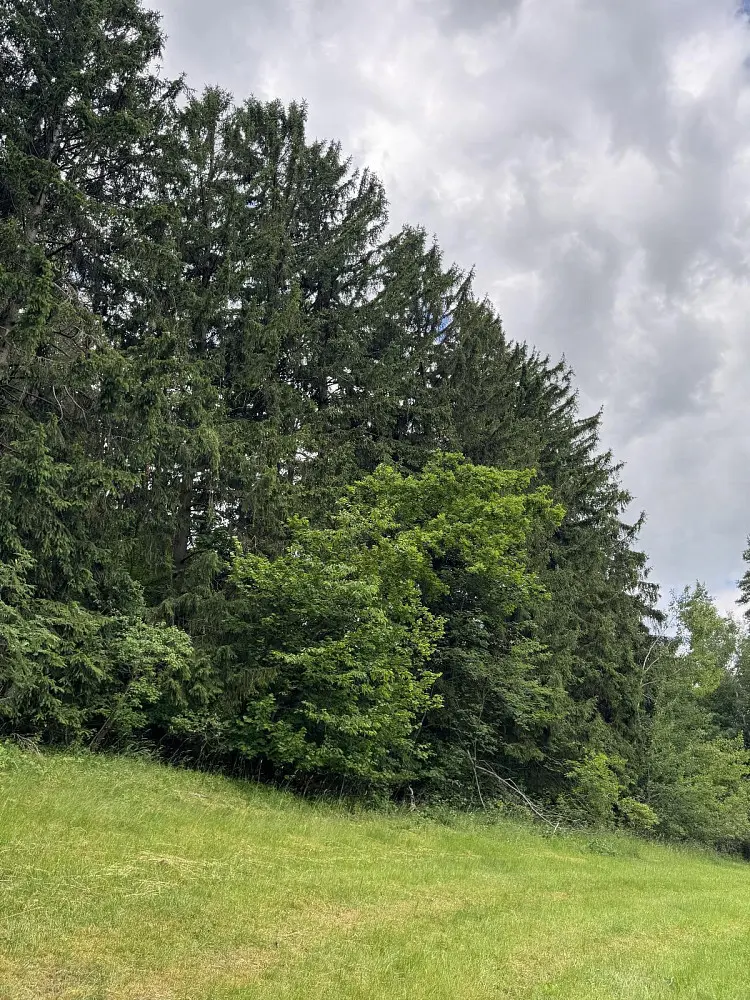 Prodej pozemku 364 m², Bílá - Vlkošov