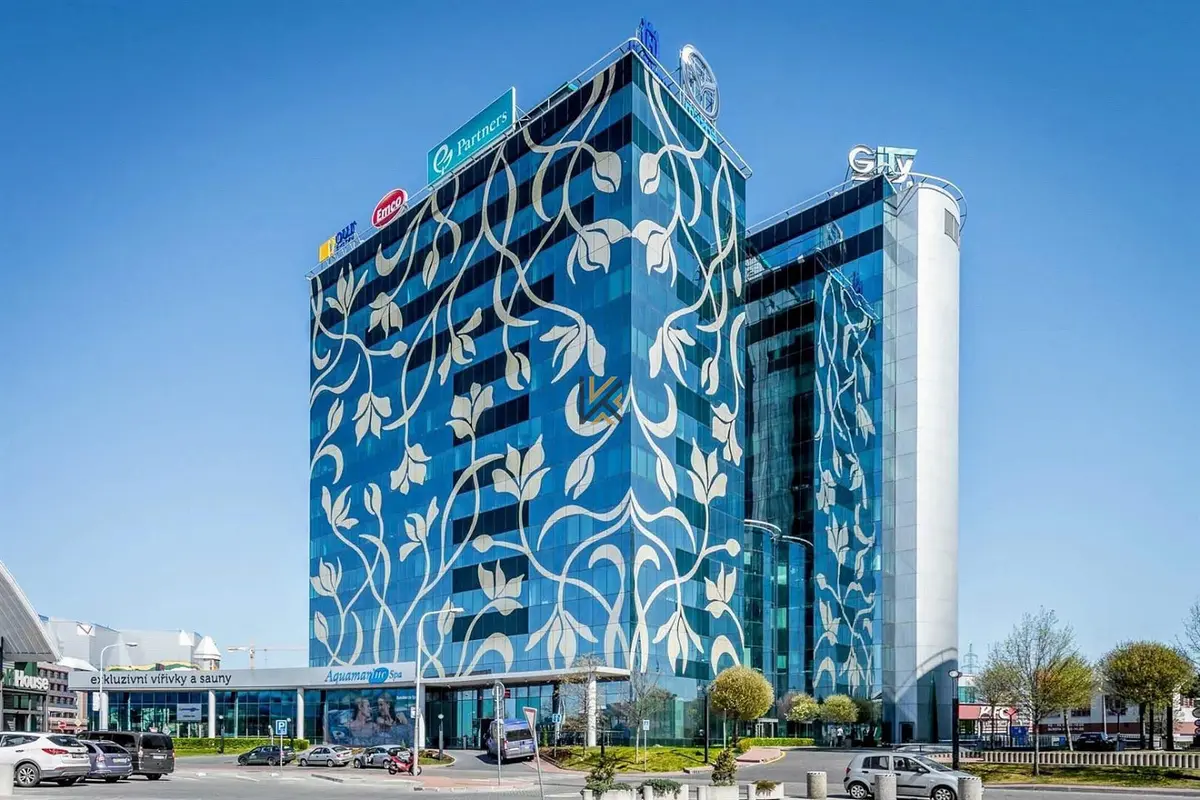 Pronájem komerčního prostoru 140 m², Türkova · Chodov