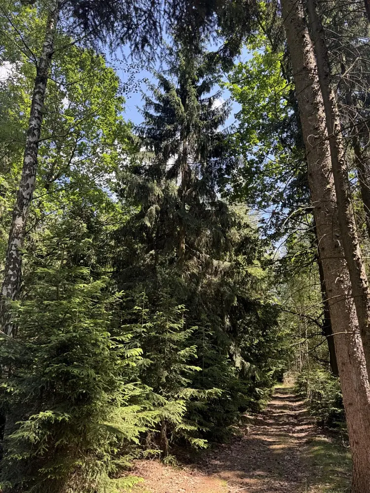 Prodej pozemku 12979 m², Druztová · okres Plzeň-sever