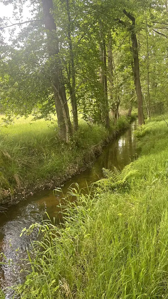 Prodej pozemku 130000 m², Chlum u Třeboně - Žíteč · okres Jindřichův Hradec