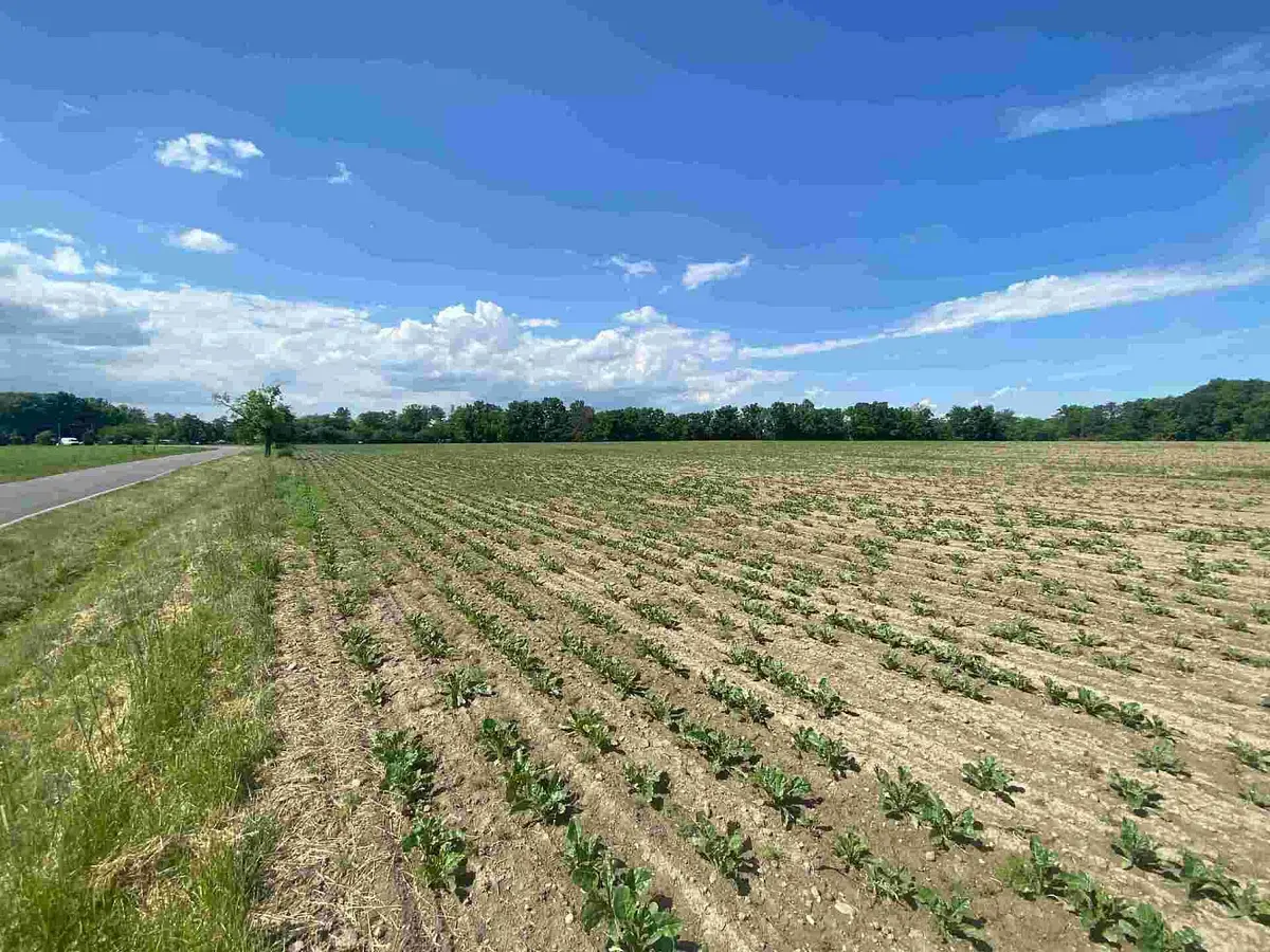Prodej pozemku 1696 m², Dolní Životice · okres Opava
