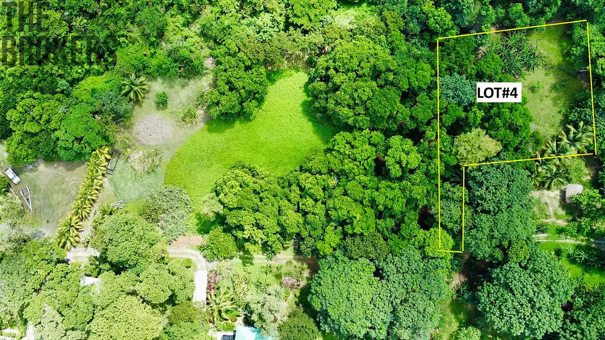 Prodej pozemku 3265 m², Coxen Hole · Roatán Honduras