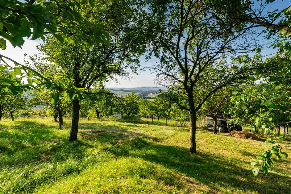 Prodej pozemku 878 m², Kudlovice · okres Uherské Hradiště