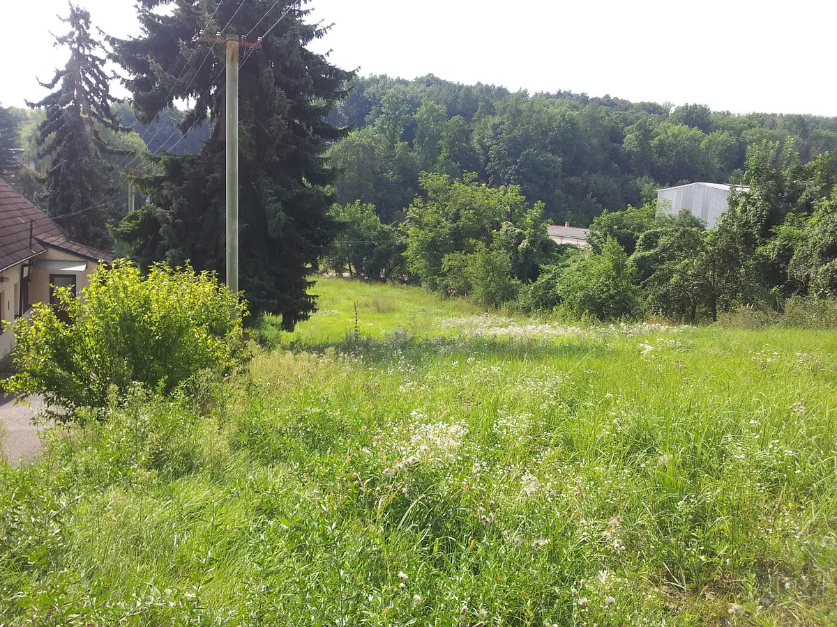 Prodej pozemku 802 m², Diváky · okres Břeclav
