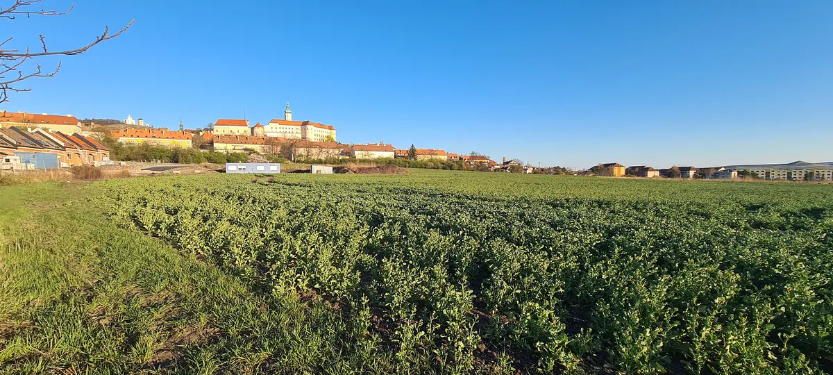 Prodej pozemku 1018 m², Mikulov · okres Břeclav
