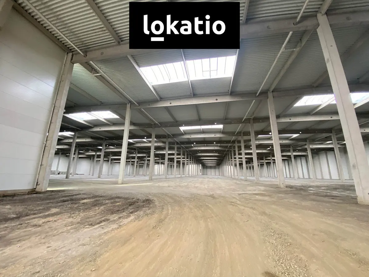 Pronájem komerčního prostoru 9653 m², Ostrava - Hrušov