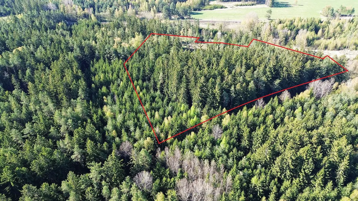 Prodej pozemku 111 m², Bednáreček · okres Jindřichův Hradec