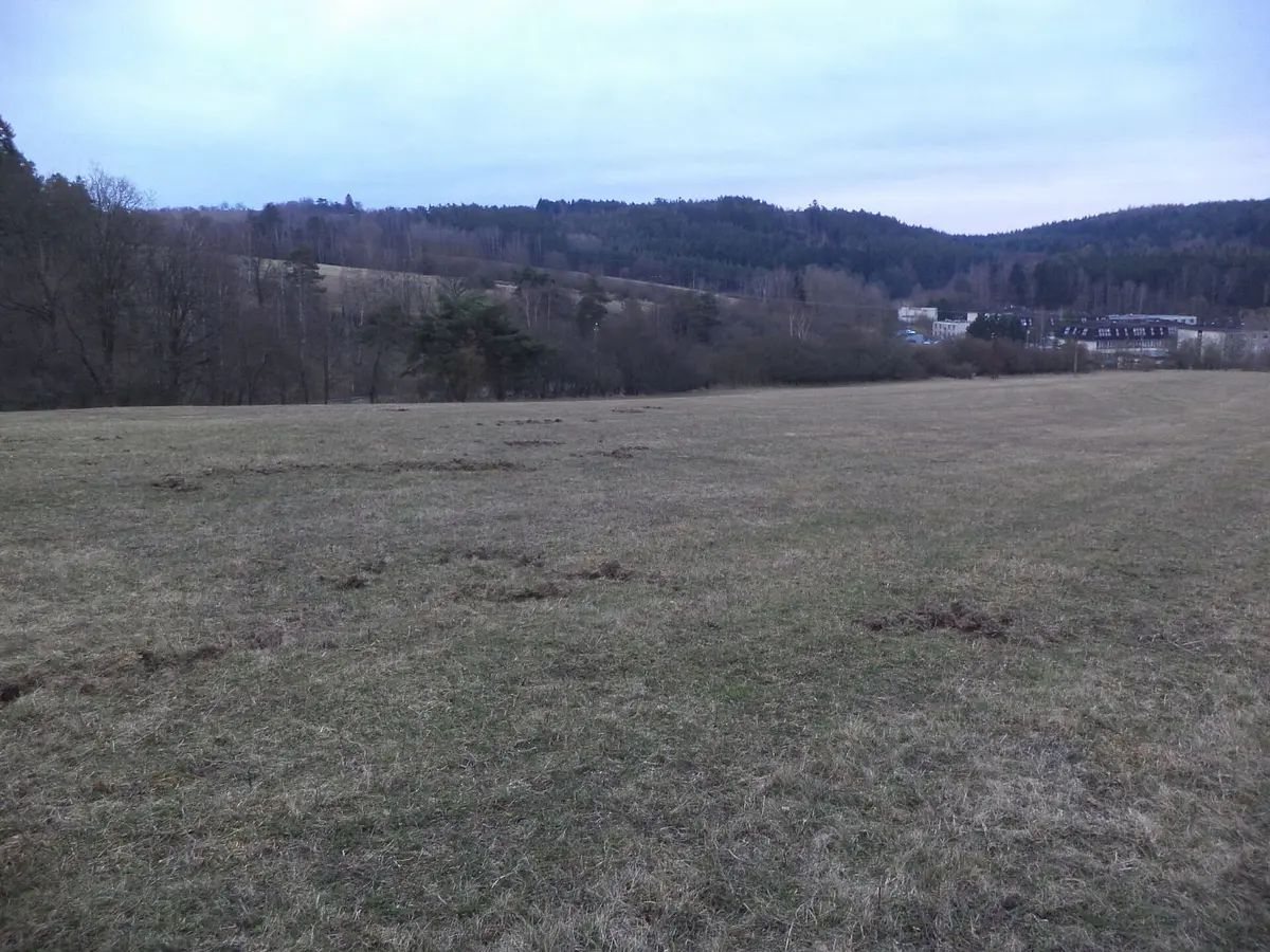 Prodej pozemku 625 m², Tis u Blatna - Balková · okres Plzeň-sever