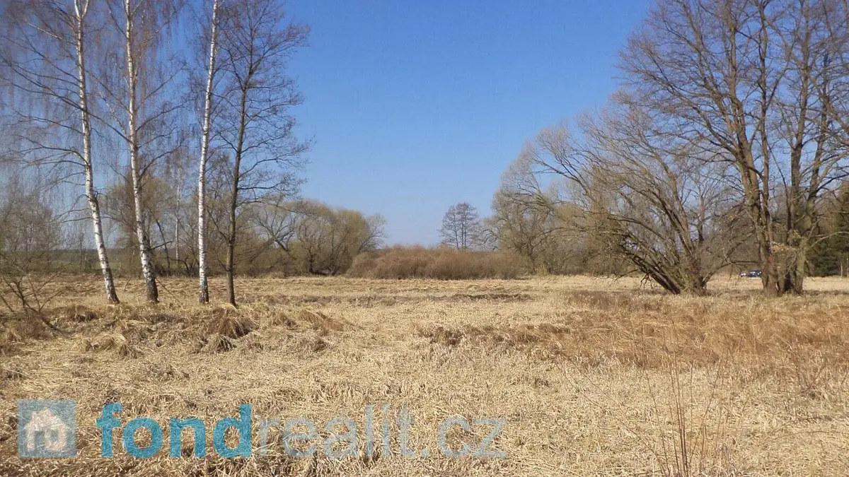 Prodej pozemku 4593 m², Vesce - Čeraz · okres Tábor