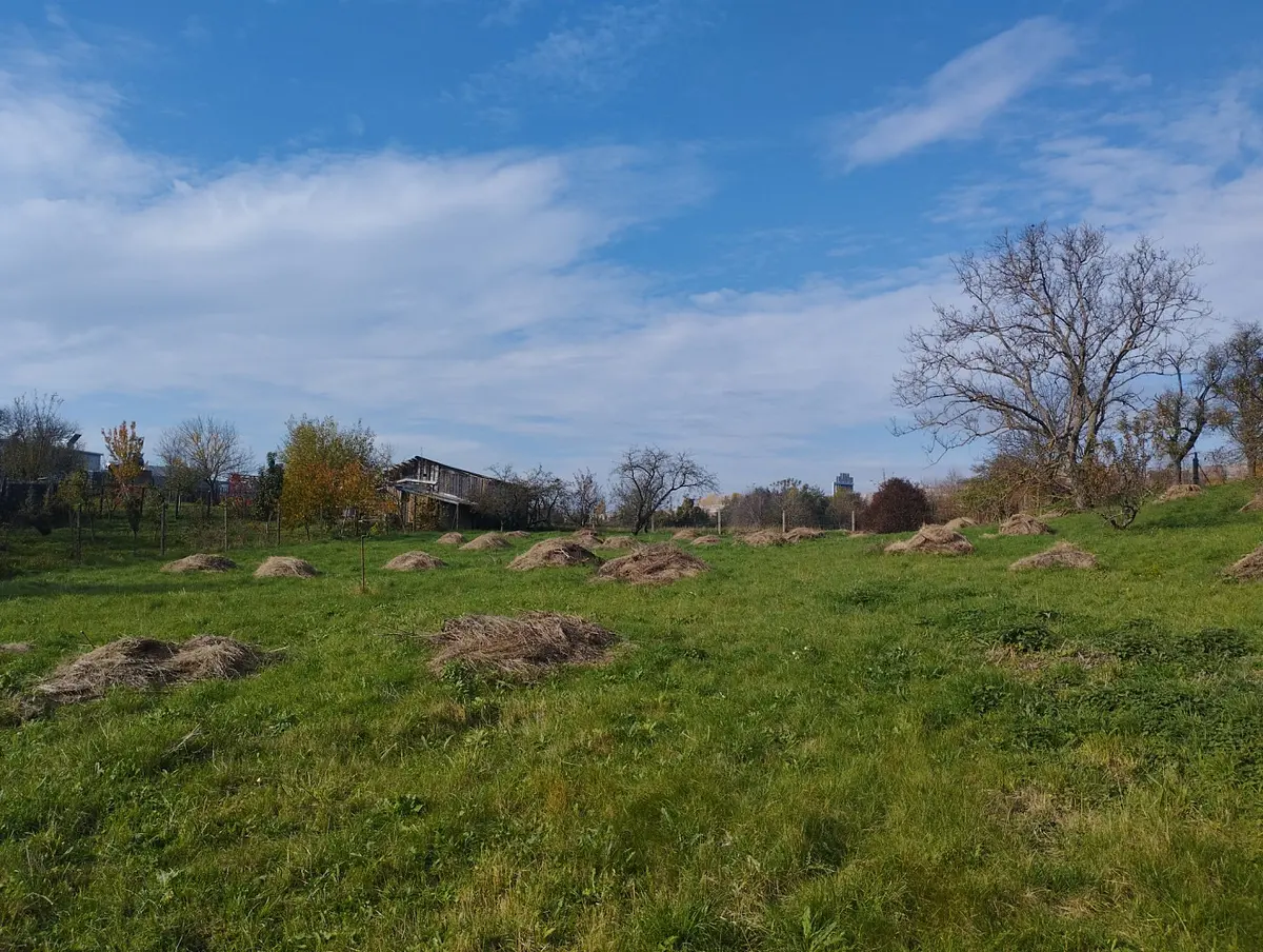 Prodej pozemku 4411 m², Holubice · okres Vyškov