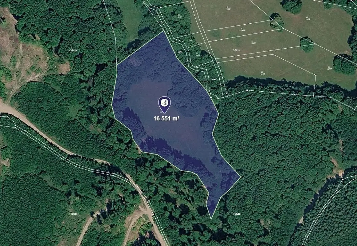 Prodej pozemku 8276 m², Javorník nad Veličkou · Javorník