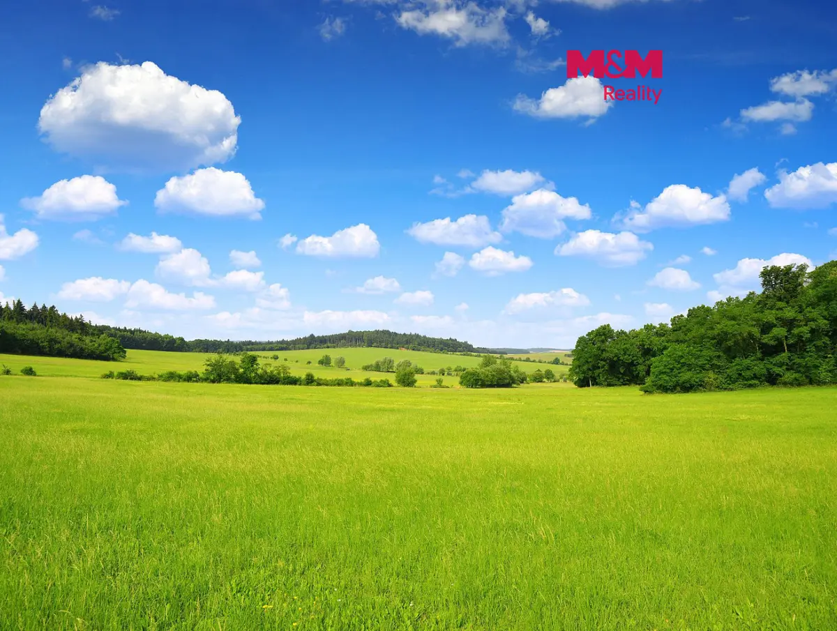 Prodej pozemku 15452 m², Kouty · okres Havlíčkův Brod