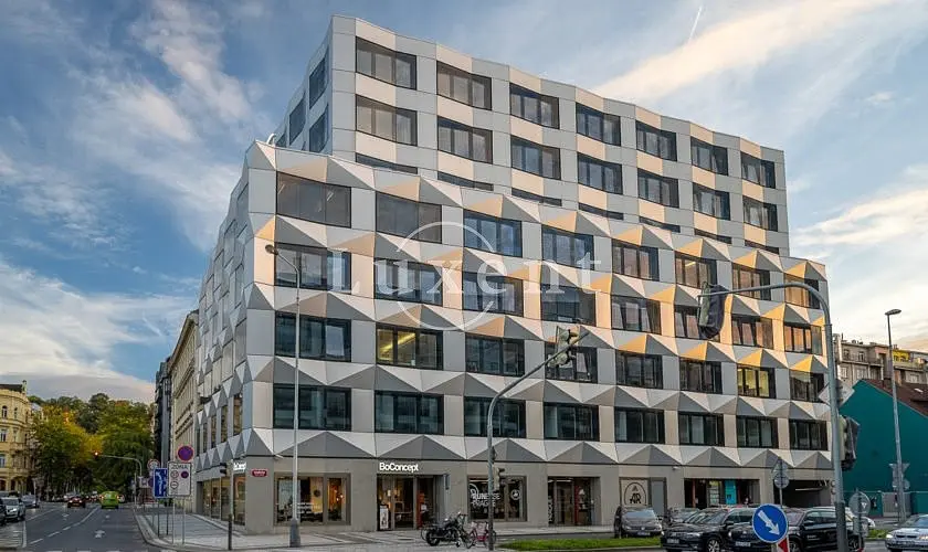 Pronájem komerčního prostoru 460 m², Karlín