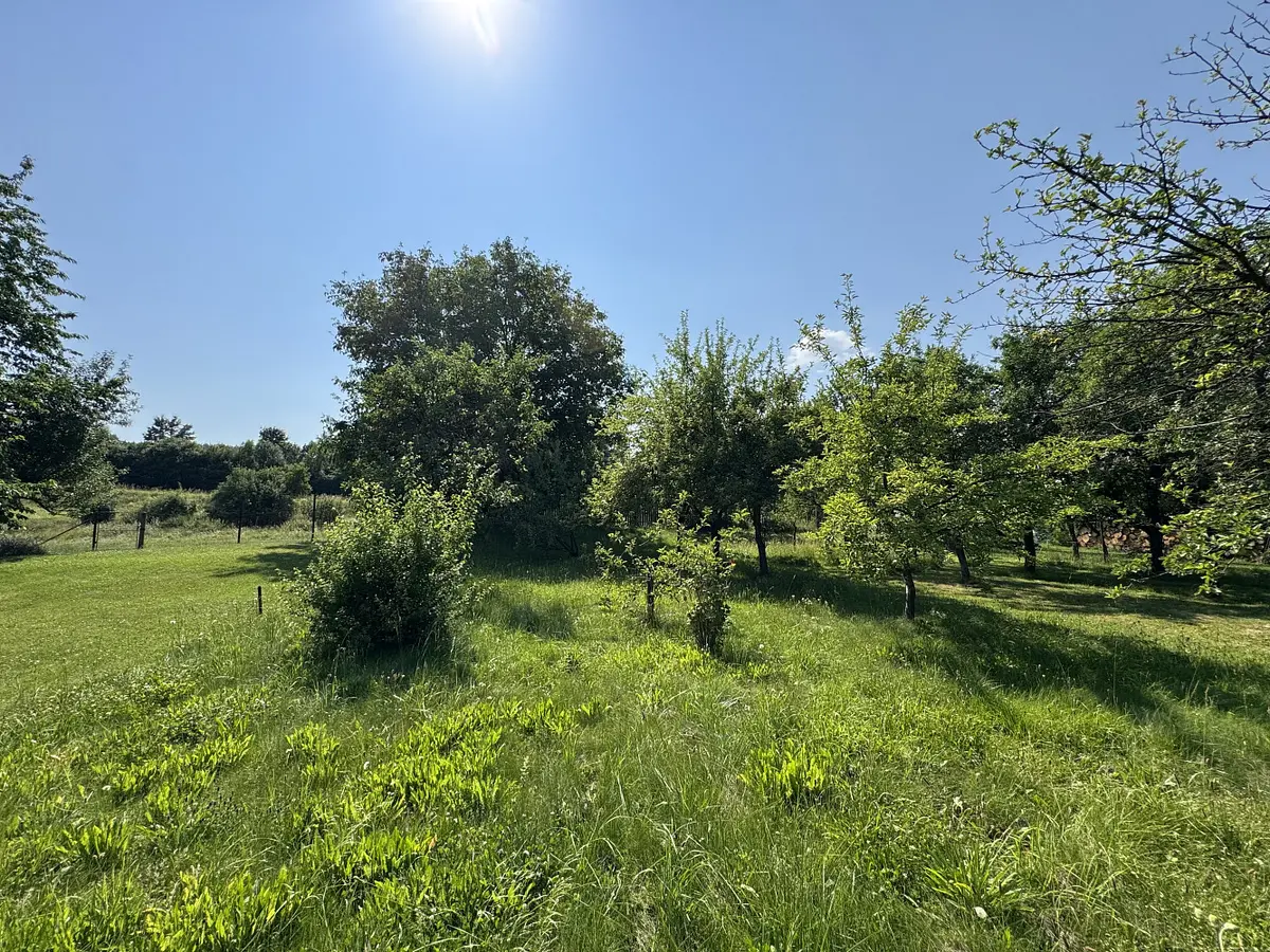 Prodej pozemku 529 m², Rájec u Zábřeha · Rájec