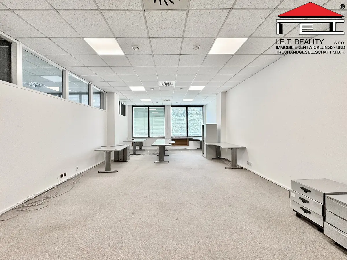 Pronájem komerčního prostoru 62 m², Štýřice · Brno
