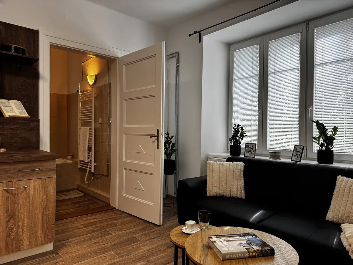 Pronájem bytu 2+kk 54 m², Sládkova · Moravská Ostrava · Ostrava