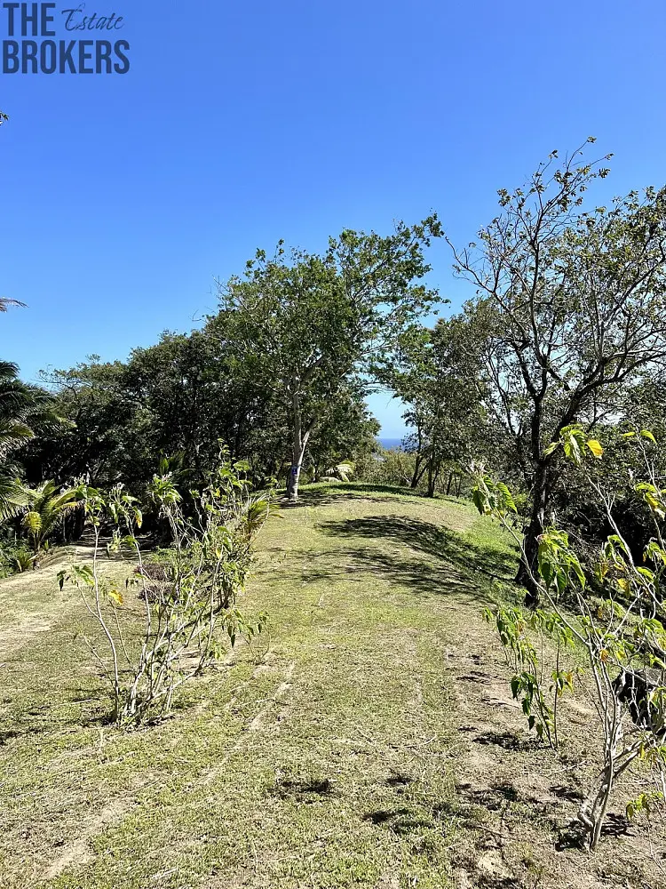 Prodej pozemku 1884 m², Coxen Hole · Roatán Honduras
